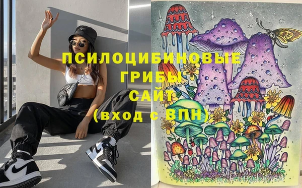 мяу мяу мука Горнозаводск
