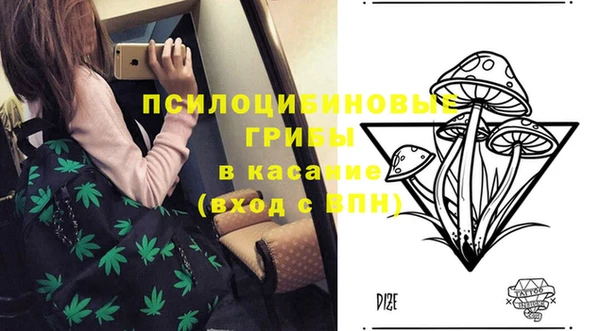 мдпв Горняк