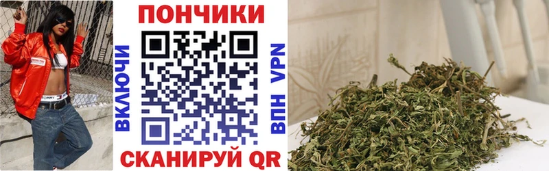 Купить  Кремёнки  Конопля сатива 